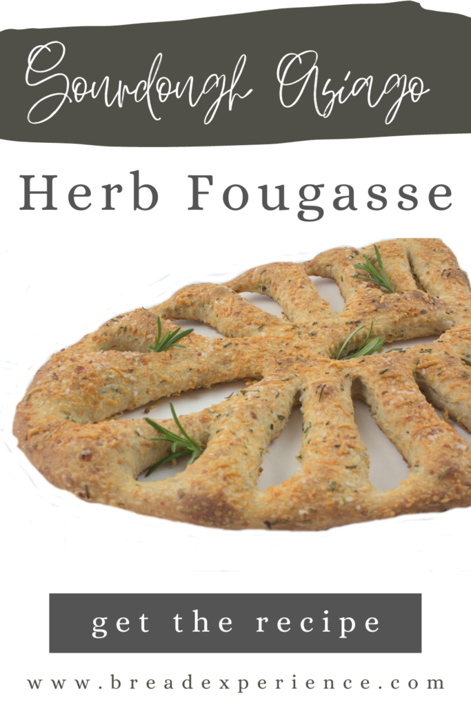 Sourdough Asiago Herb Fougasse Pin
