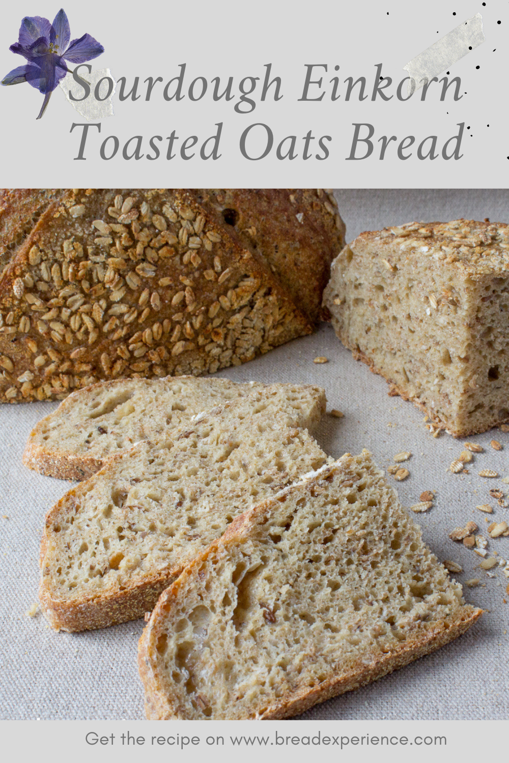 Sourdough Einkorn Toasted Oats Bread