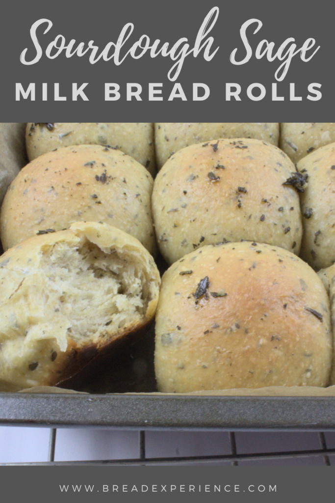 Sourdough Herb Milk Bread Rolls Pin