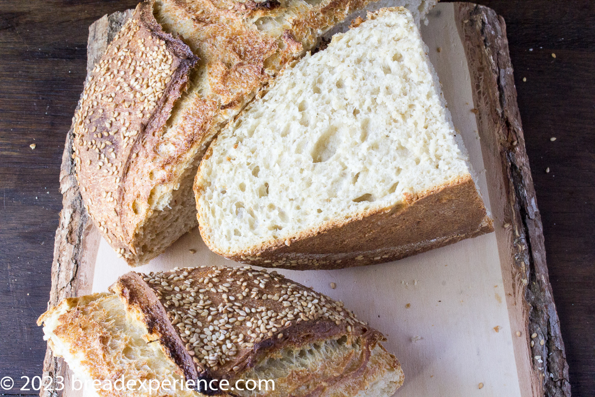 Crumb shot of Sourdough Horiatiko Psomi