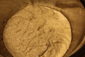 Sourdough-Spelt-Flaxseed014