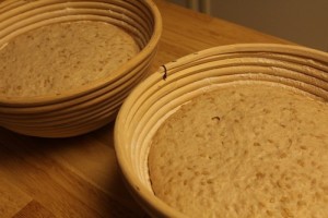 Sourdough-Spelt-Flaxseed024