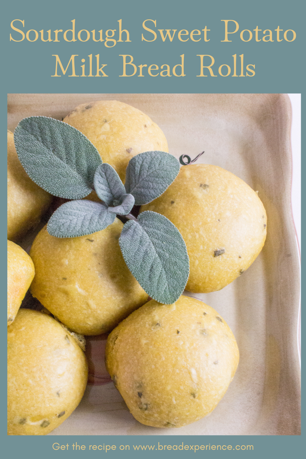 Sourdough Sweet Potato Milk Bread Rolls Pin