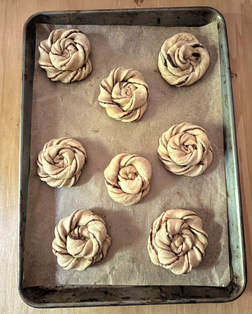 Eight shaped sun buns on a parchment lined sheet, coiled and ready for the final rise.