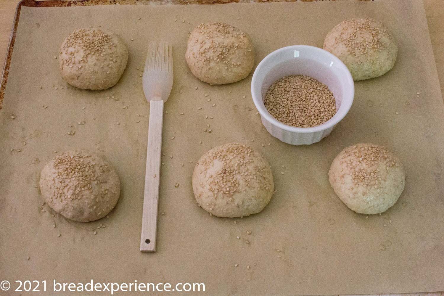 Sourdough Burger Buns Final Rise