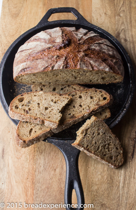 Einkorn Pumpkin Stout Sourdough with Seeds - Bread Experience