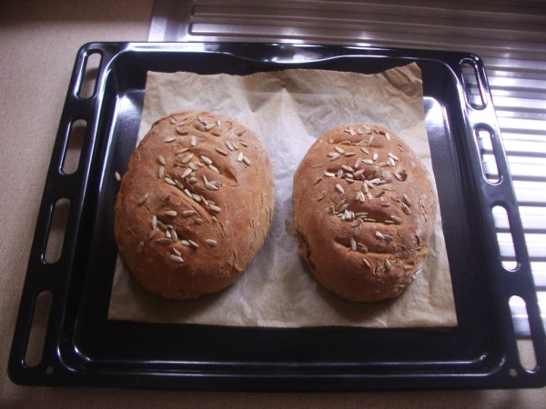 Baked wholemeal loaves