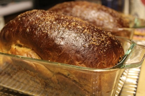 Babka loaves cooling in pans