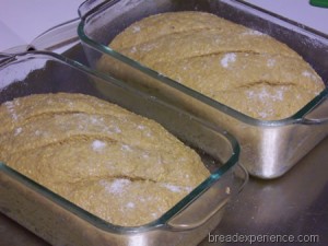 anadama-corn-bread 019