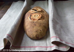 Apple Bread with Cider on Baker's Couche