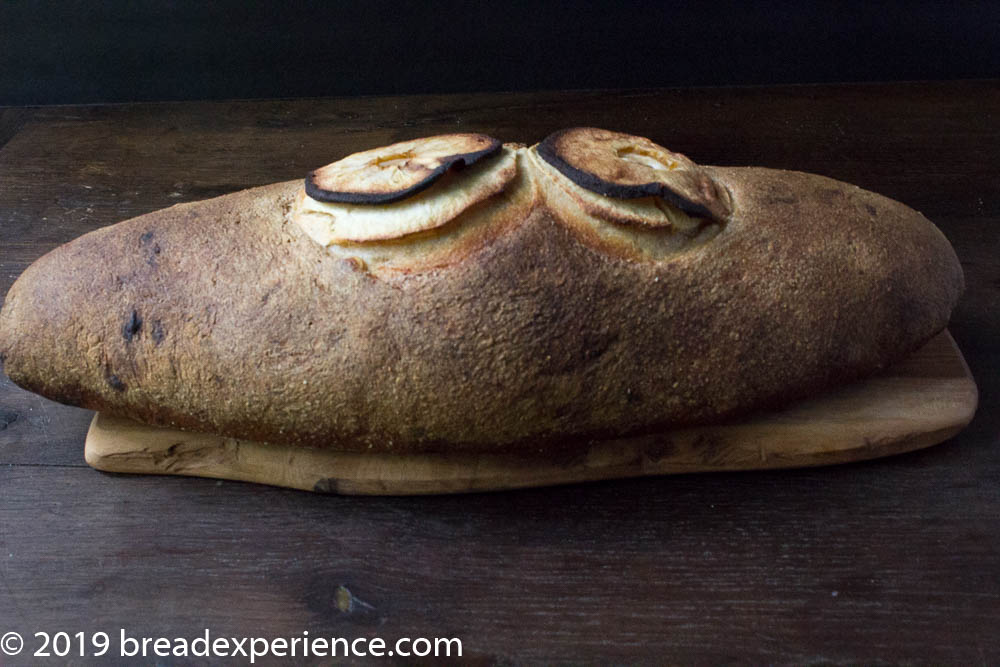 Apple Cider Bread with apple slices on top