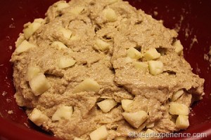 apple-honey-whole-grain-challah_0654