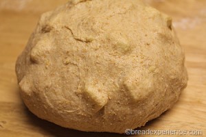 apple-honey-whole-grain-challah_0656