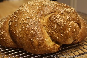 apple-honey-whole-grain-challah_0691