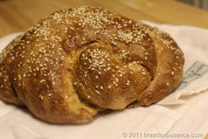 apple-honey-whole-grain-challah_0697