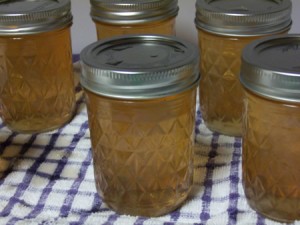 Apple jelly ready to be processed