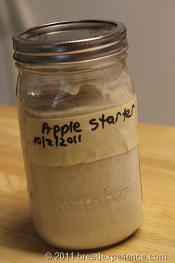 apple-starter_0680