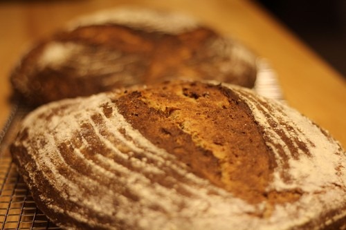 Spelt Sourdough Loaves with Popped Amaranth & Potato Cooling