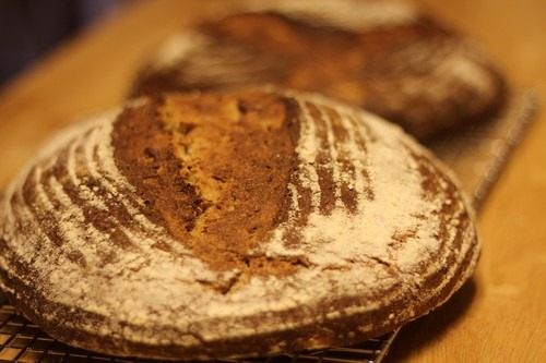 Spelt Sourdough Loaves with Popped Amaranth & Potato Cooling 2