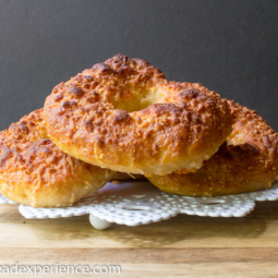 Kefir Milk Asiago Spelt Semolina Bagels