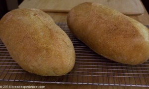 batards using poolish baguette dough