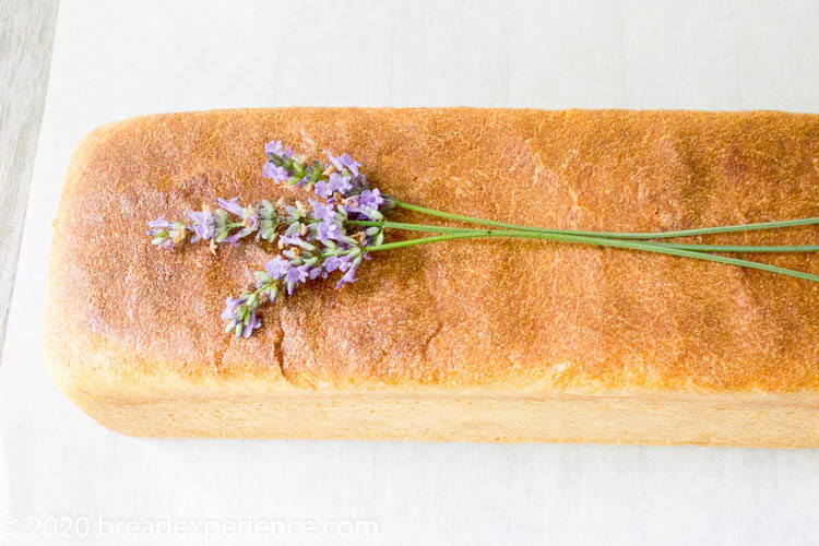 Bee Keeper's Pain de Mie with Lavender