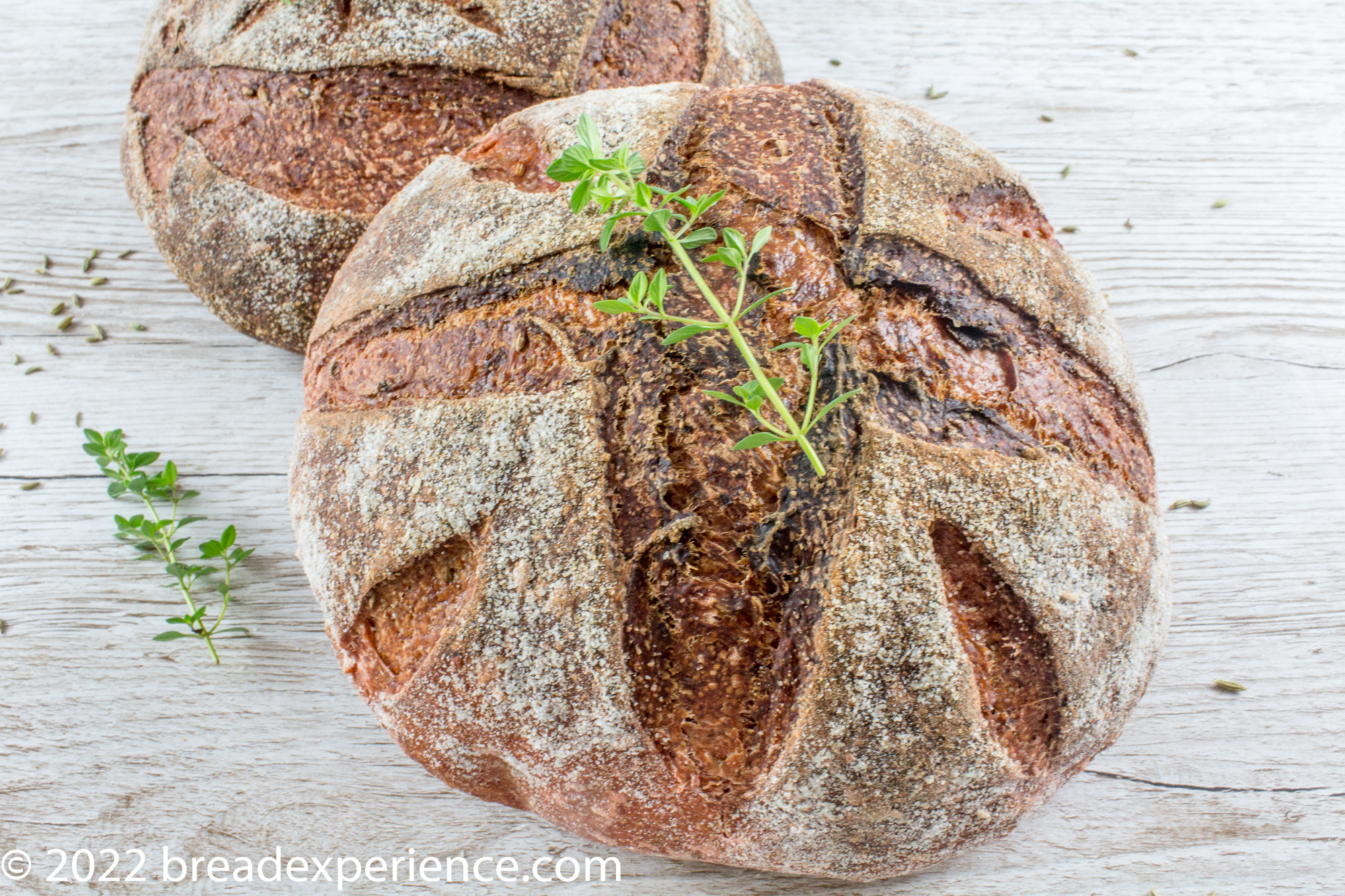 Sourdough Roasted Beet Bread