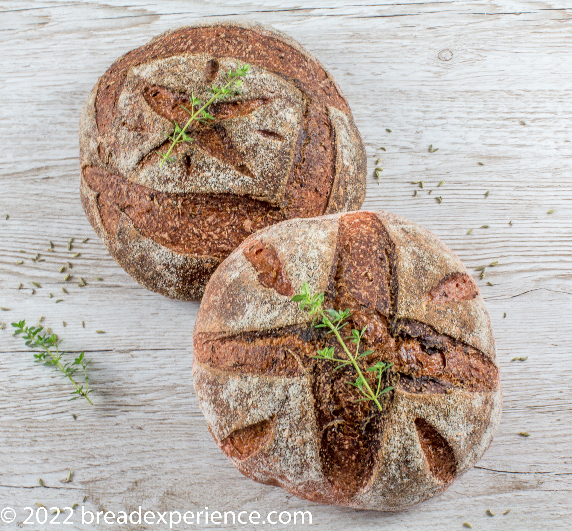 Roast Beet Bread with Thyme & Fennel
