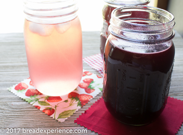 Berry Shrub Syrup-Infused Water