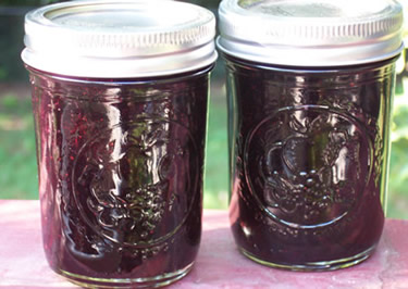 Blueberry Orange Marmalade