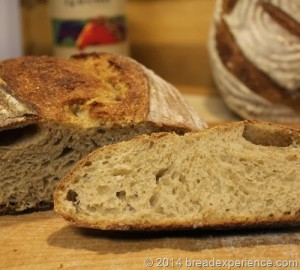 Kamut and Rye Levain on the spot