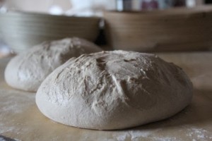 bread-sprouted-flour_214