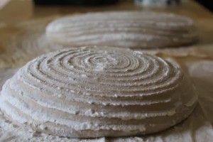bread-sprouted-flour_402
