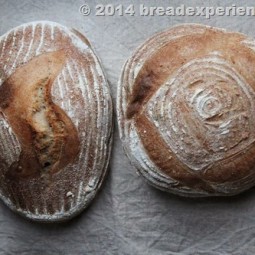 Bread with Sprouted Flour