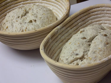 Dough in proofing basket