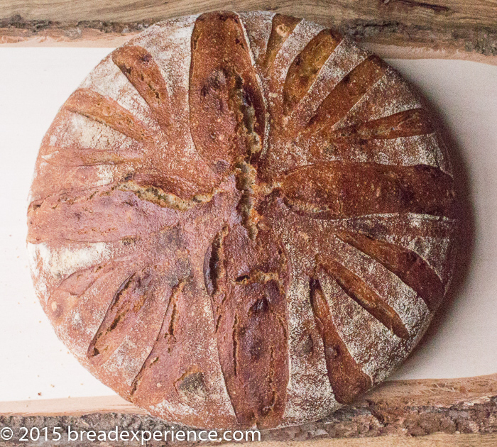 Caramelized Onion Spelt Buckwheat Loaf