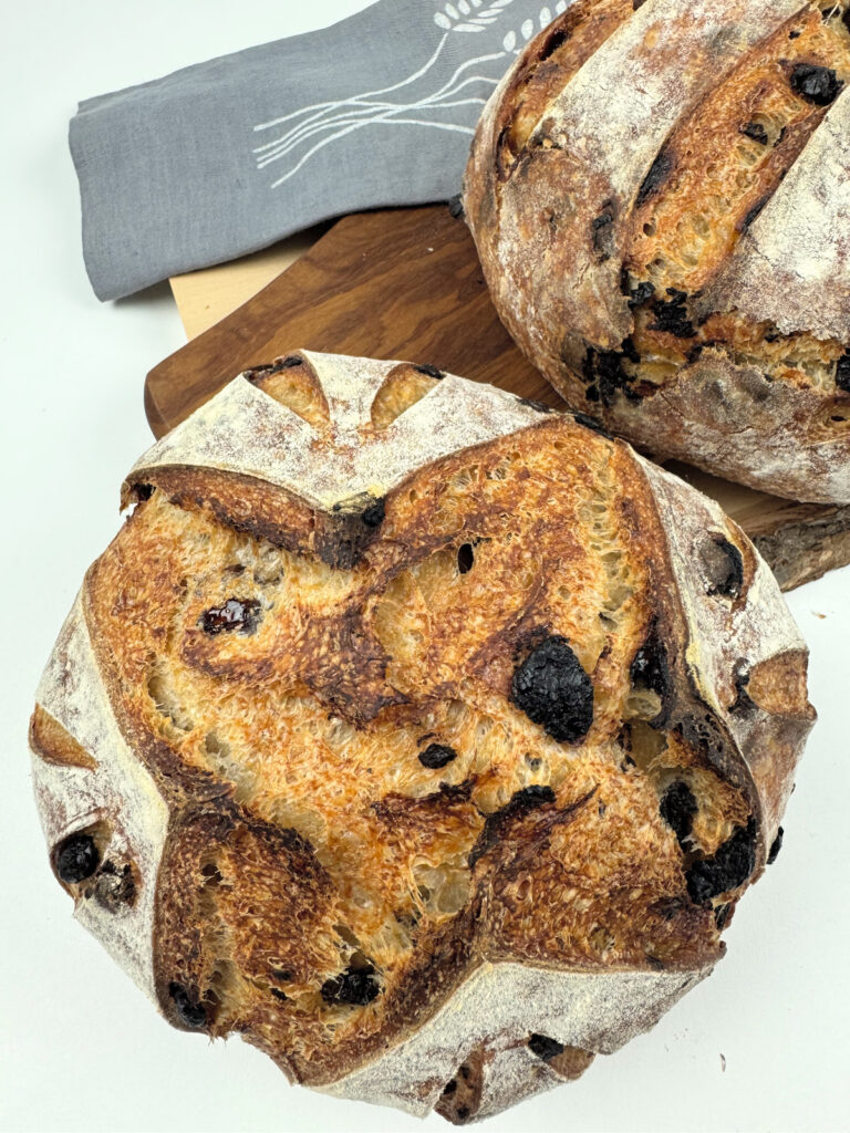 Chocolate Cherry Sourdough Campagne Boules-Firm Starter + Orange Zest Option