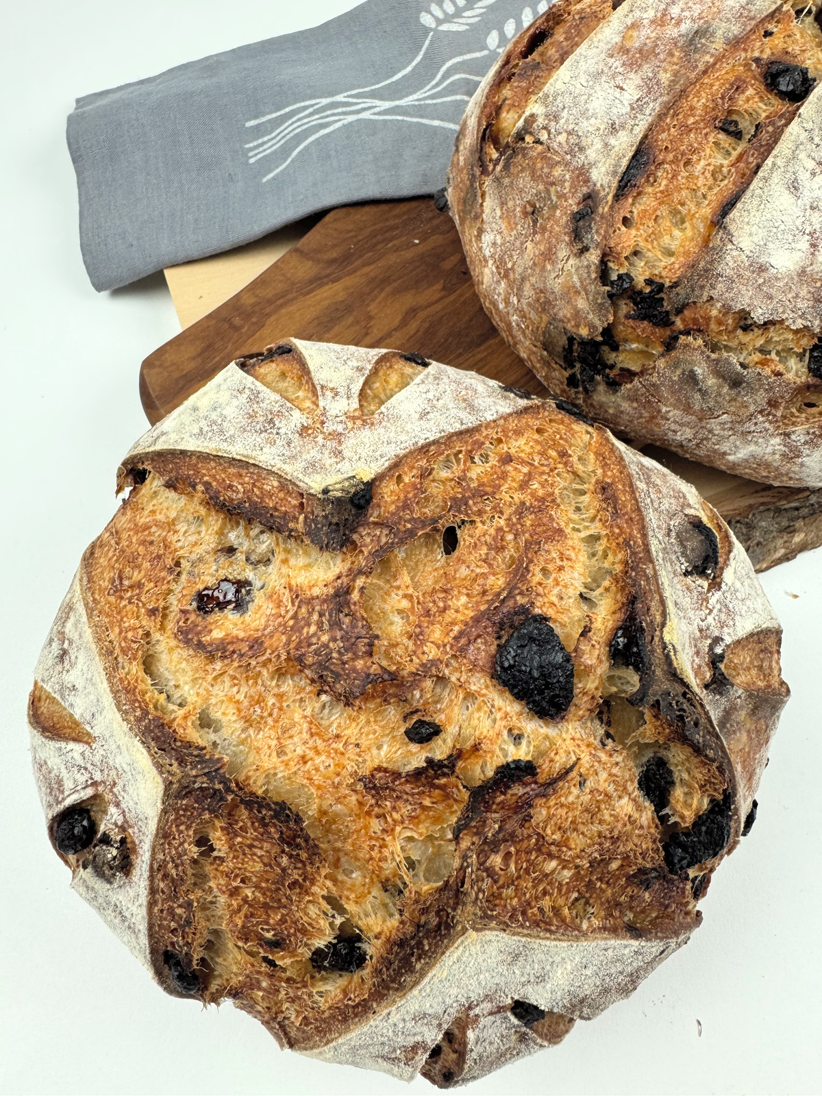 Chocolate Cherry Sourdough Campagne Boules