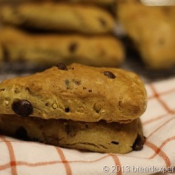 Chocolate Chip Spelt and Einkorn Scones