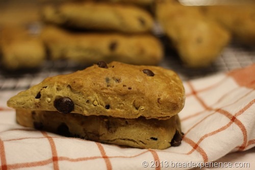 Chocolate Chip Spelt and Einkorn Scones