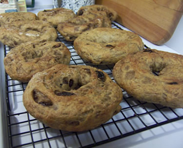 Cinnamon Raisin Bagels