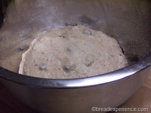 cinnamon-raisin-oatmeal-bread 004