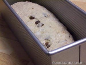 cinnamon-raisin-oatmeal-bread 009