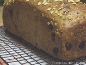 cinnamon-raisin-oatmeal-bread 018