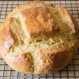 einkorn Archives - Bread Experience