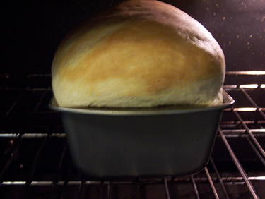 classic white bread baking