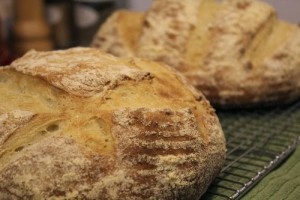 Cornmeal Pumpkin Hearth Bread