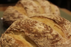 Cornmeal Pumpkin Hearth Bread