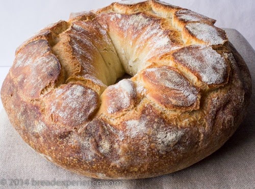 Making a Couronne with Old Dough Mixed Starter