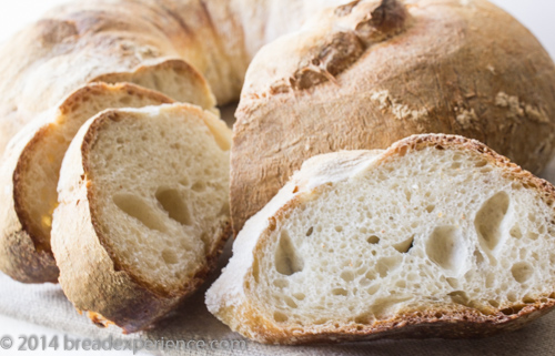 French Couronne crumb